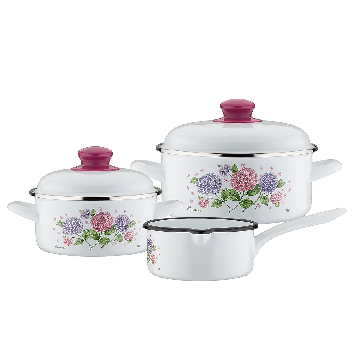Topfset Hortensie | Mehrfarbig