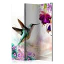 Paravent Hummingbirds & Flowers | Mehrfarbig