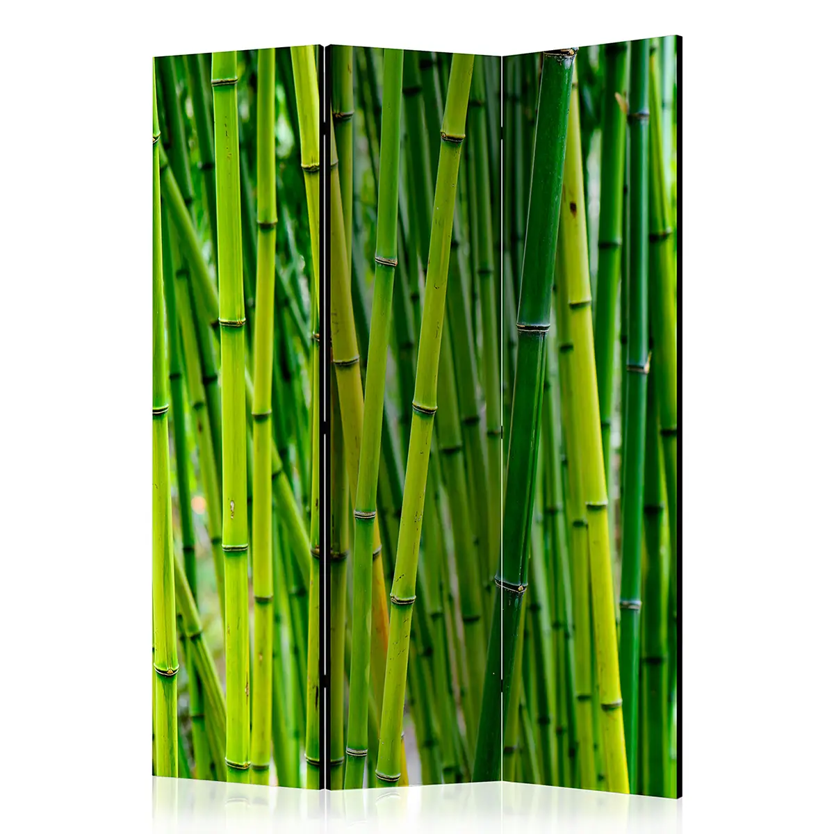 Paravent Bamboo Forest | Grün