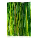 Paravent Bamboo Forest | Grün