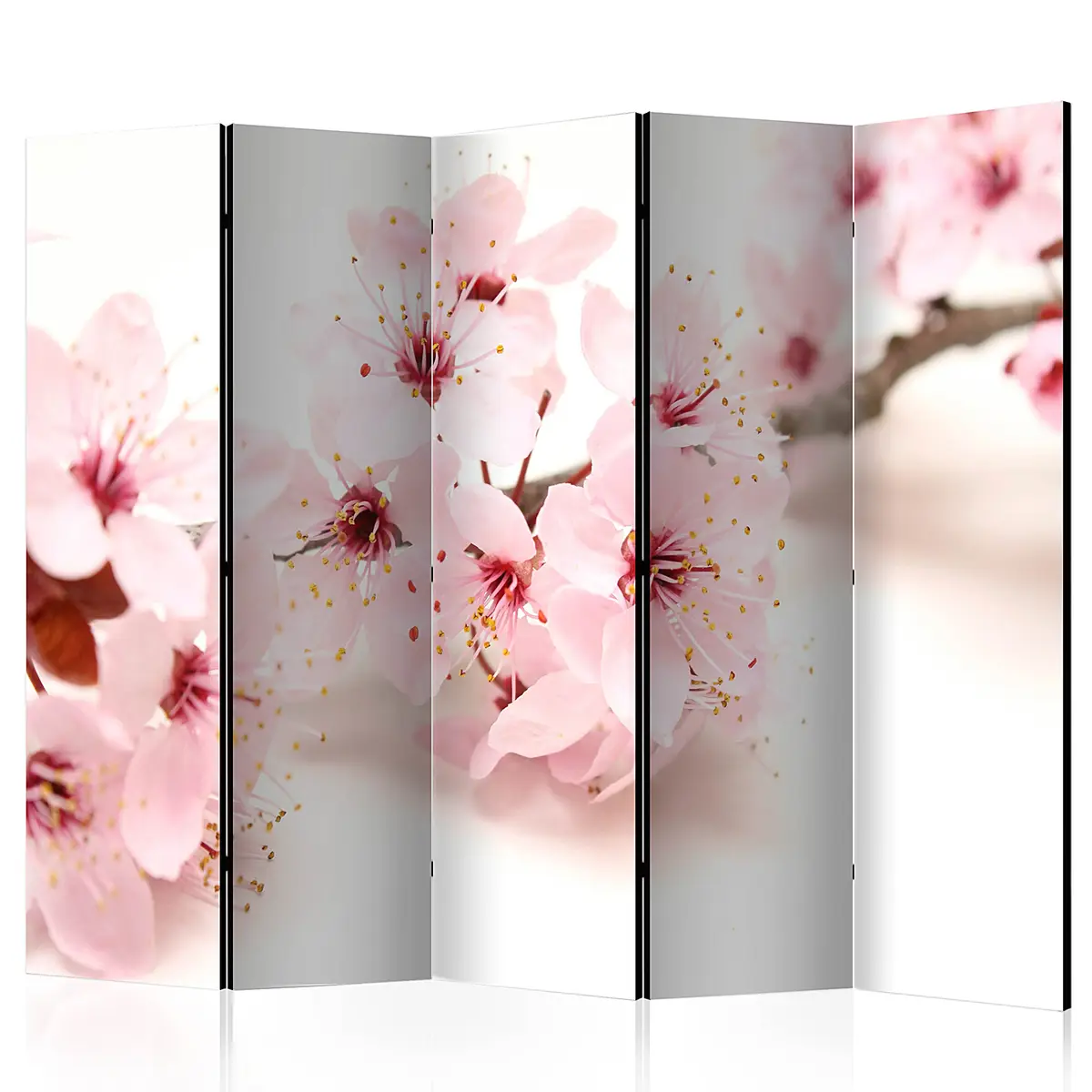 Paravent Cherry Blossom Akustik Vlies auf Kiefer Massiv | Pink
